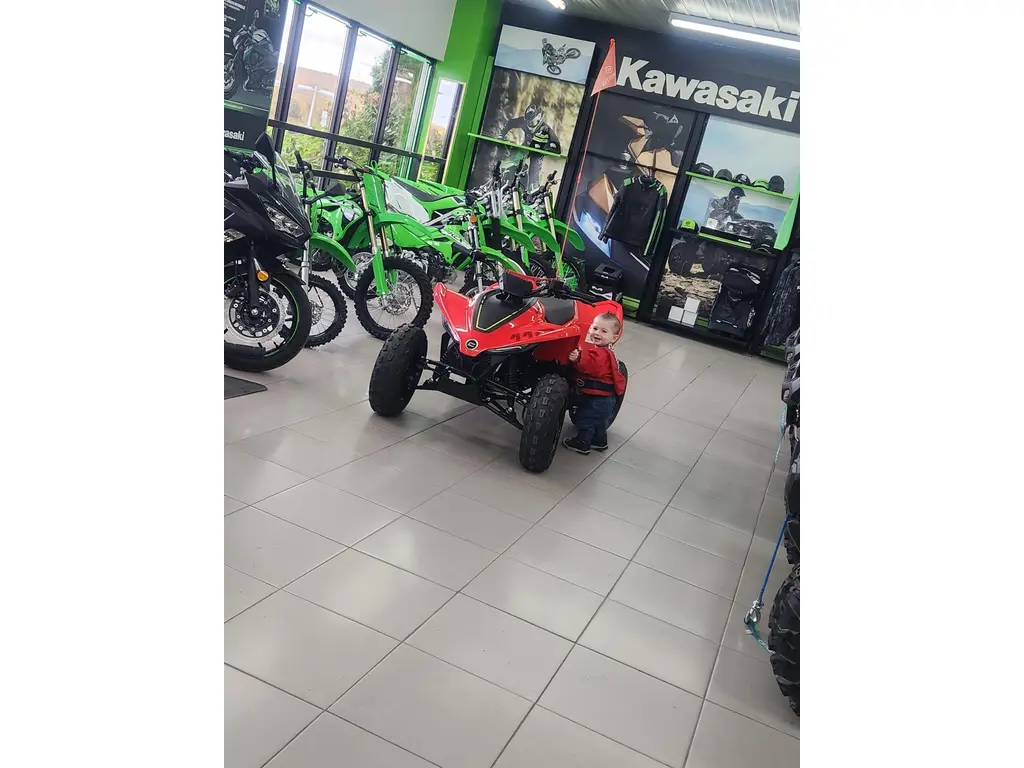 2026 CFMOTO CFORCE 110 CLASSIC