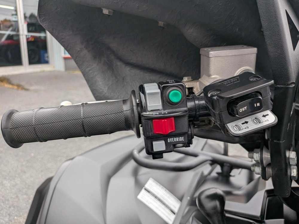 Yamaha Grizzly 700 Se 2018 alt
