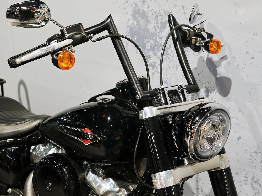 2019 Harley-davidson Softail Slim Flsl alt