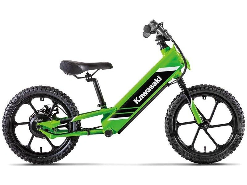 Kawasaki Elektrode 16 2027 alt