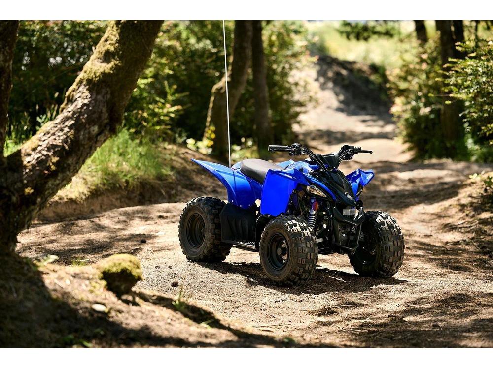 2027 Yamaha Yfz50 alt