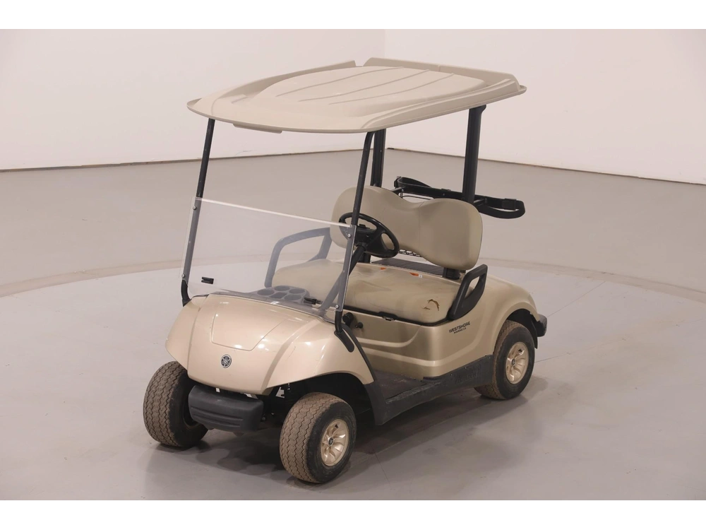 2009 Yamaha Premium Gas Golf Cart alt