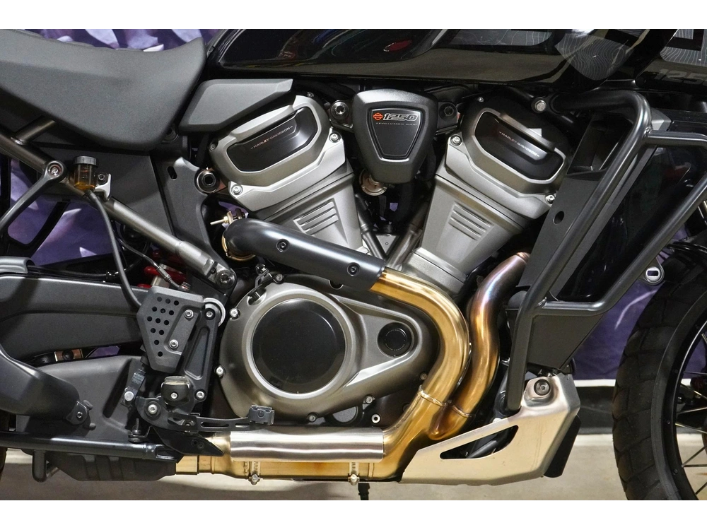 2024 Harley-davidson Ra1250s Pan America alt