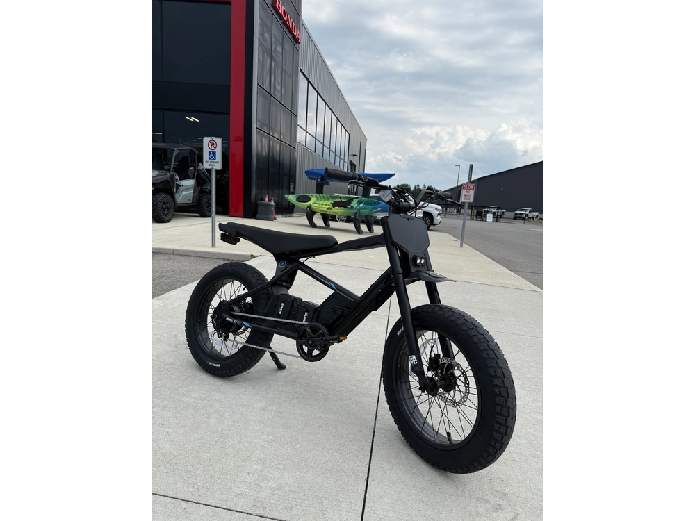 2026 Stacyc 20hdrive