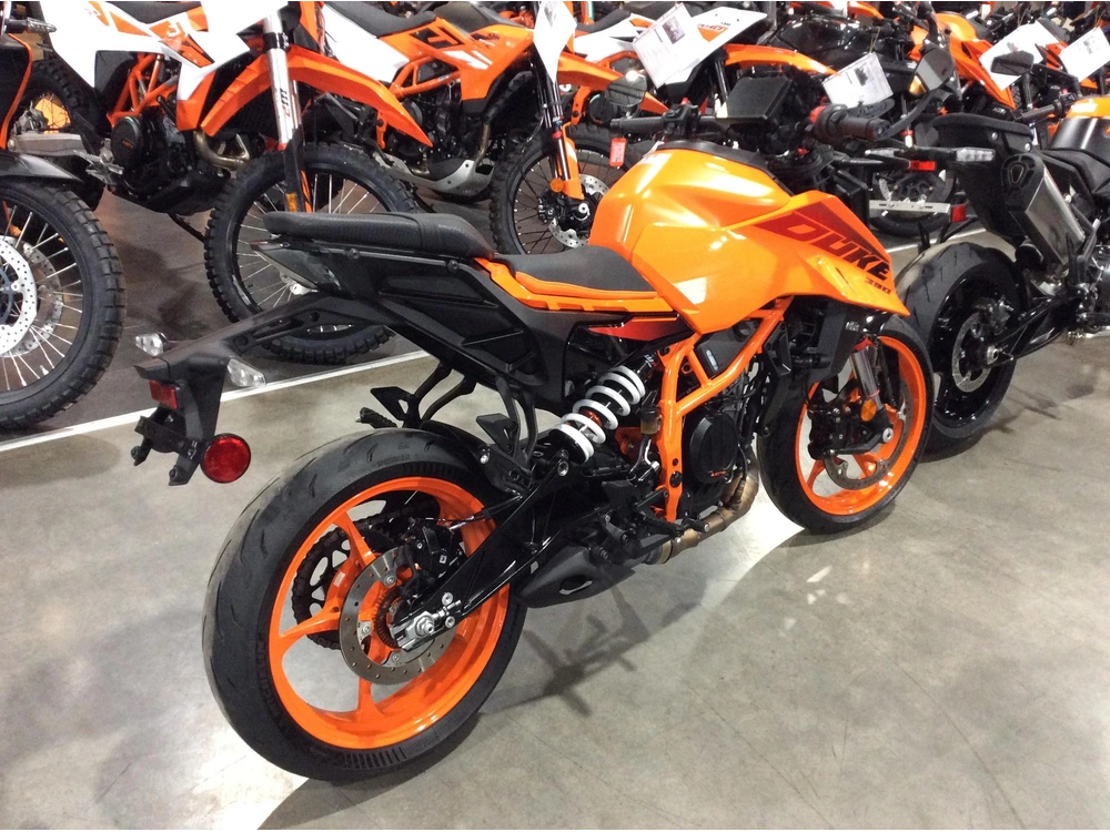 Ktm 390 Duke 2024 alt