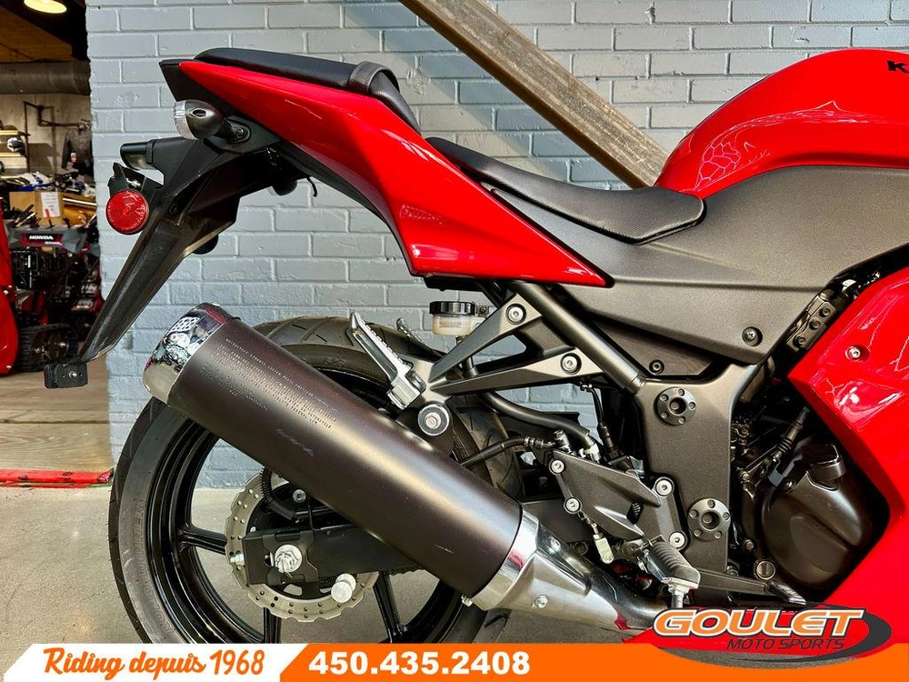 Kawasaki Ninja 250 2010 alt