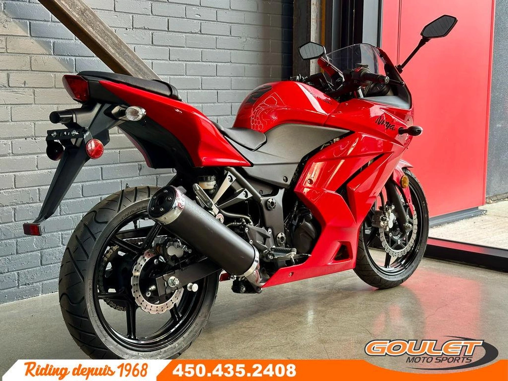 Kawasaki Ninja 250 2010 alt