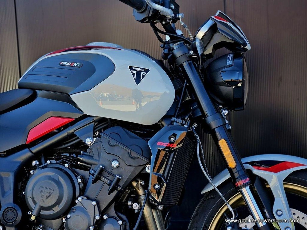 2026 Triumph Trident 800 Ash Grey