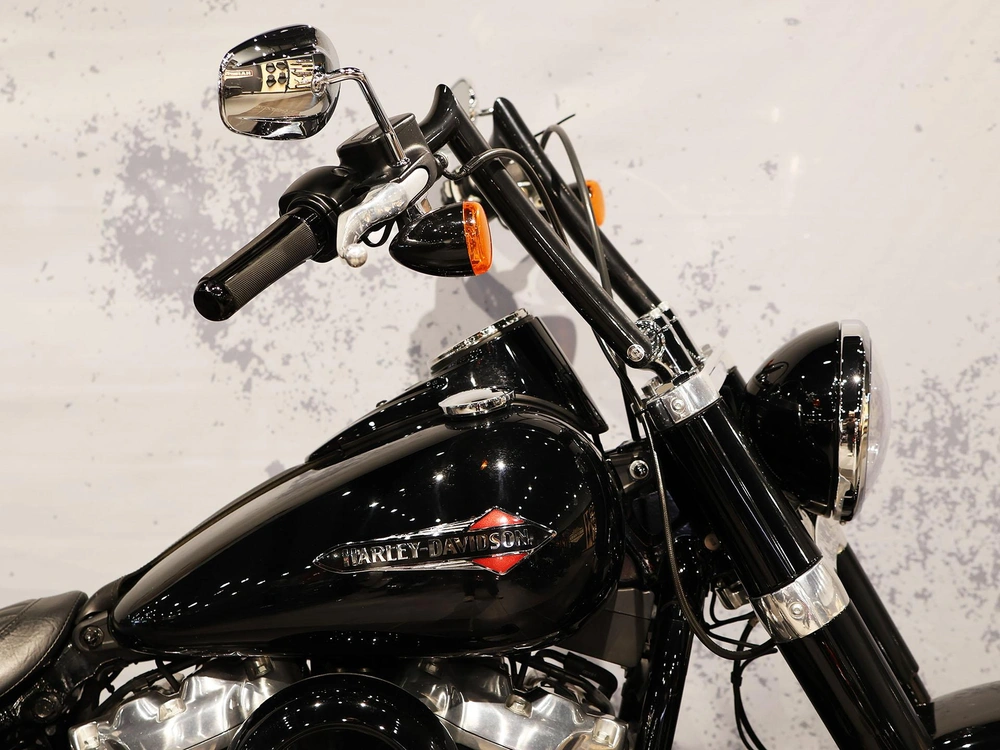 2019 Harley-davidson Softail Slim Flsl alt