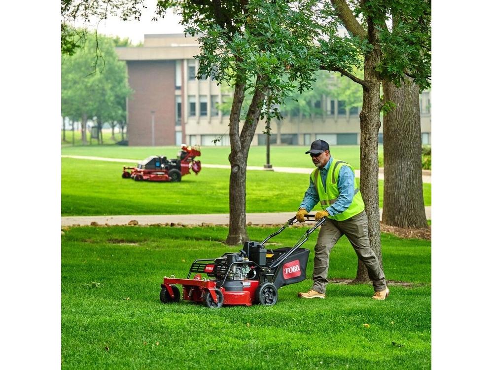 Toro 30" Turfmaster Hdx Bbc 22236 2025