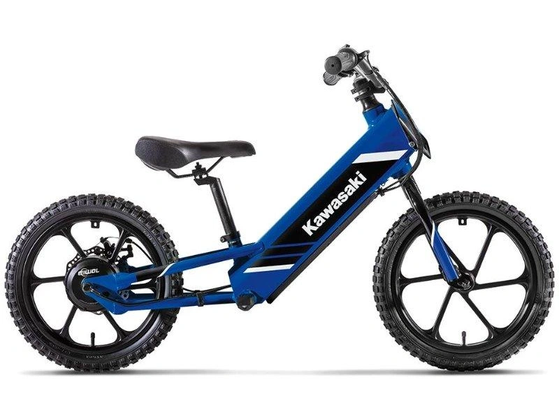 Kawasaki Elektrode 17 2027 alt