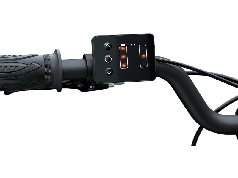 Kawasaki Elektrode 21 2027 alt