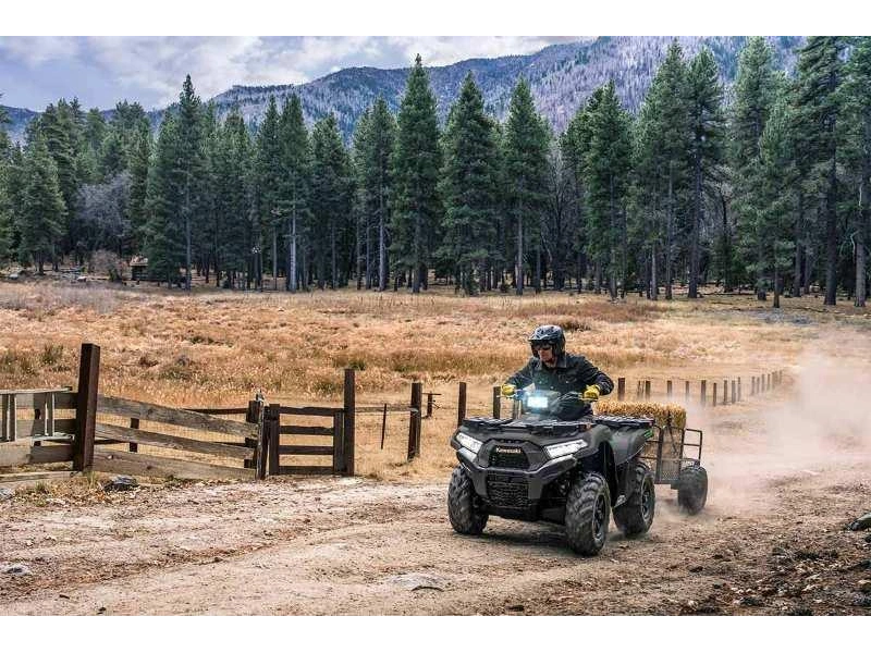 Kawasaki Brute Force 750 Eps 2027 alt