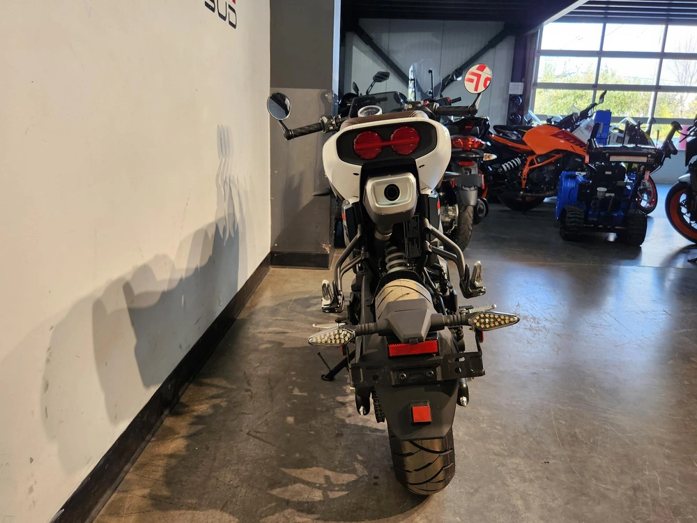 Cfmoto Papio Ss *5.99%/60 Mois💳 2024