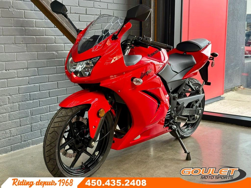 Kawasaki Ninja 250 2010 alt