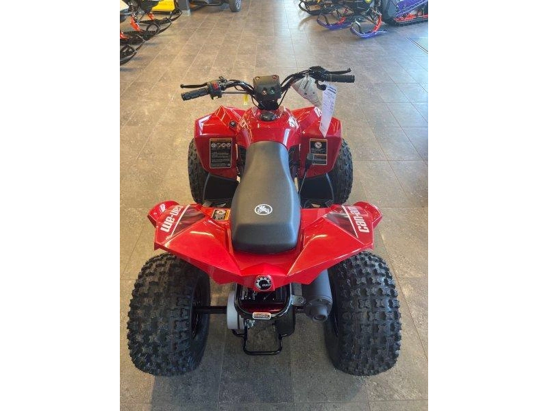 Can-am Renegade 110 Efi 2027 alt