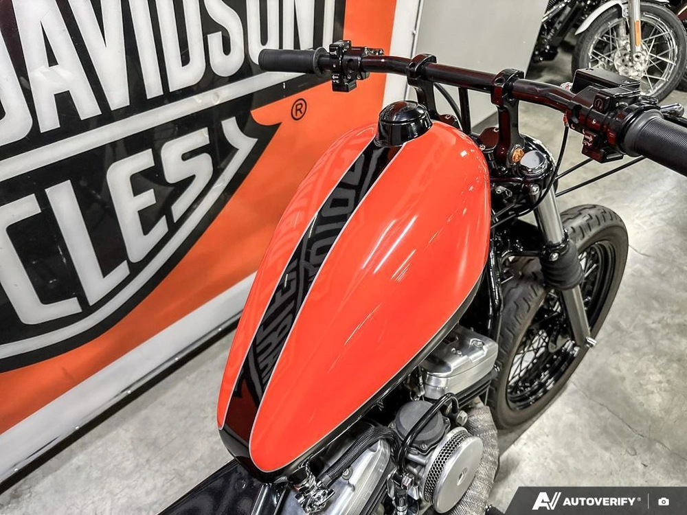 1997 Harley-davidson Sportstser Custom Build alt