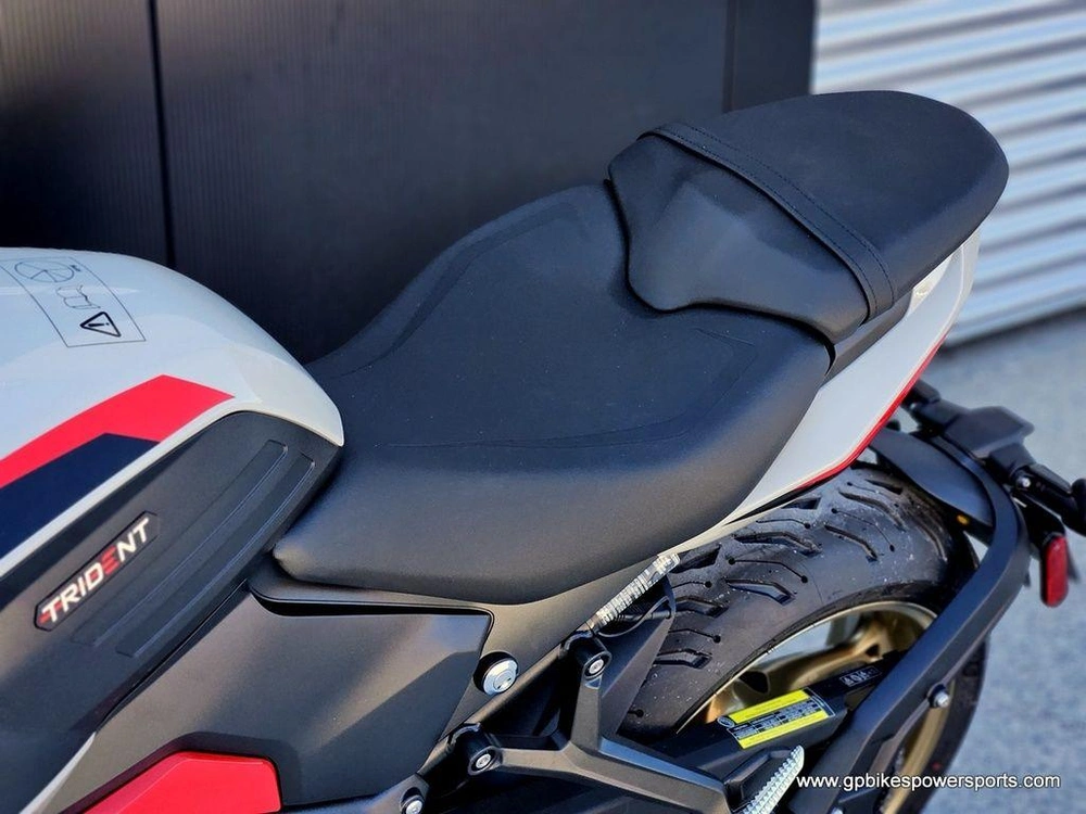 2026 Triumph Trident 800 Ash Grey