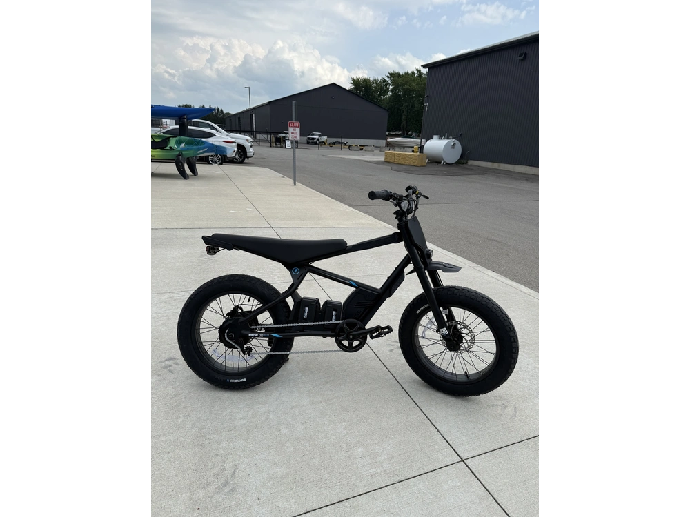 2026 Stacyc 20hdrive