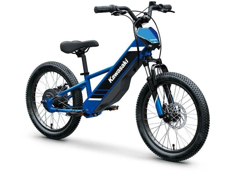 Kawasaki Elektrode 21 2027 alt