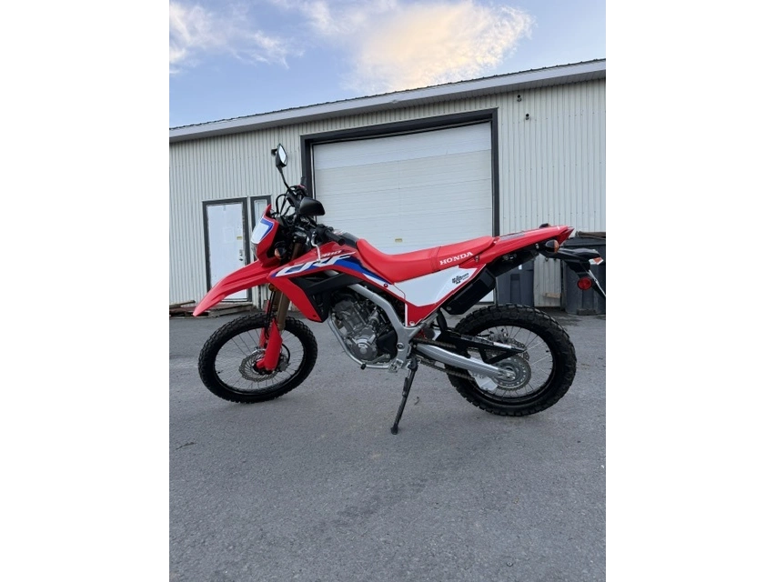 Honda Crf300 Abs Crf300lam 2021 alt