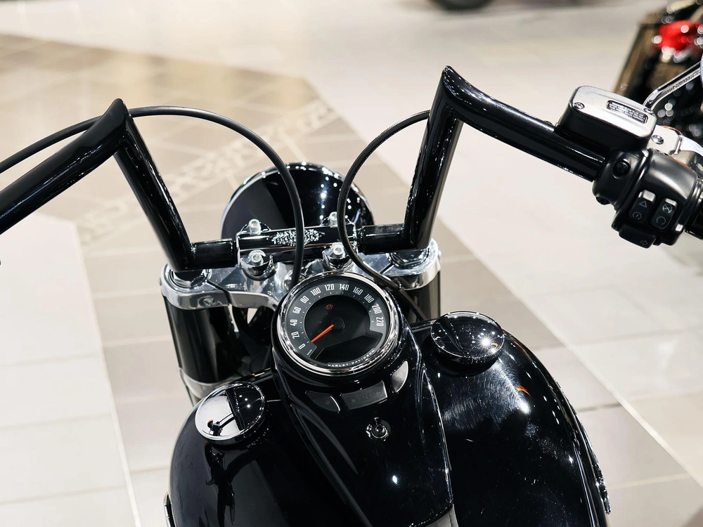 2019 Harley-davidson Softail Slim Flsl alt