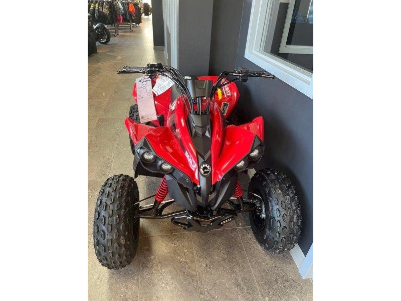 Can-am Renegade 110 Efi 2027 alt