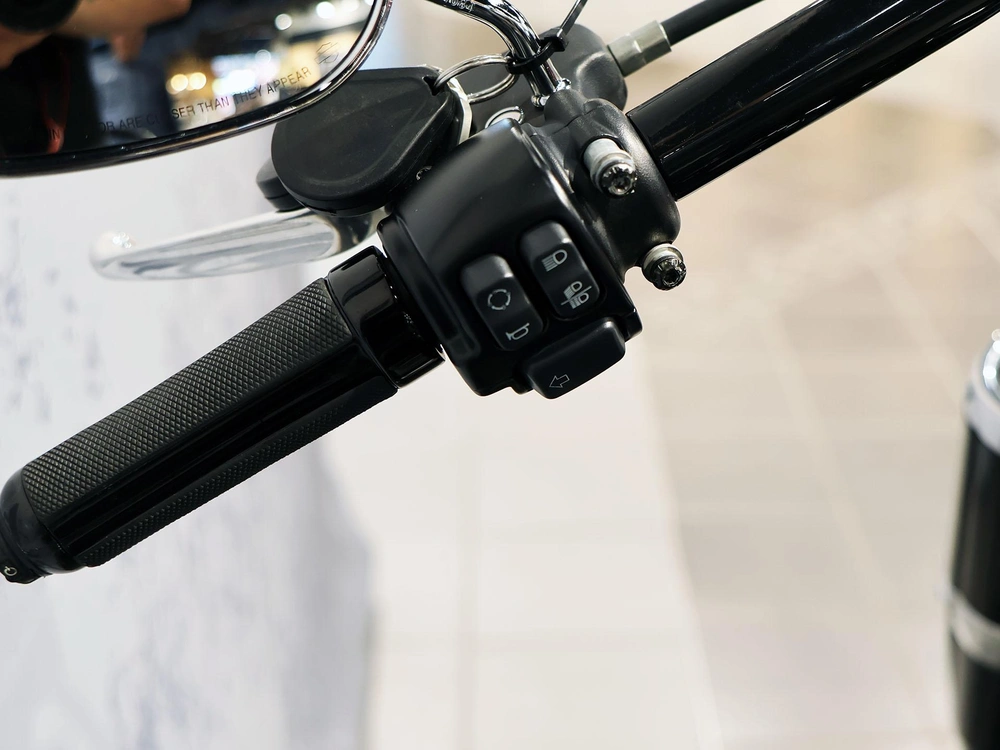 2019 Harley-davidson Softail Slim Flsl alt