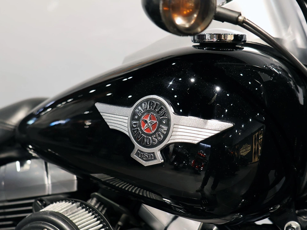 2010 Harley-davidson Fat Boy Lo Flstf alt