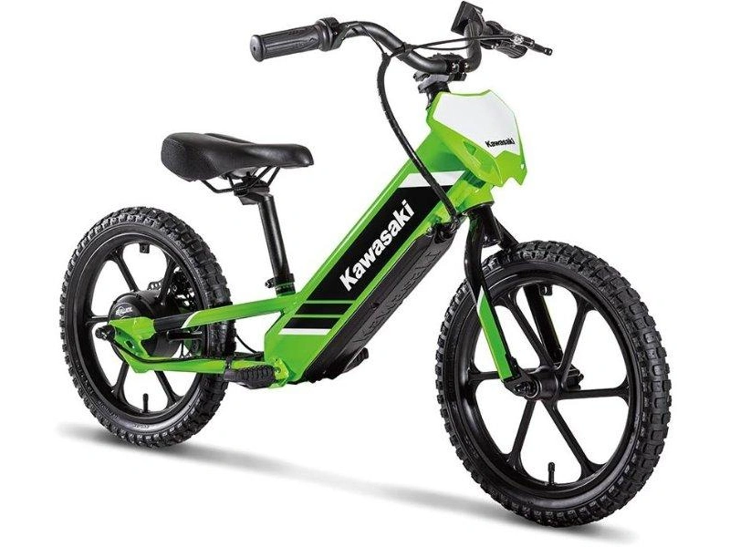 Kawasaki Elektrode 16 2027 alt