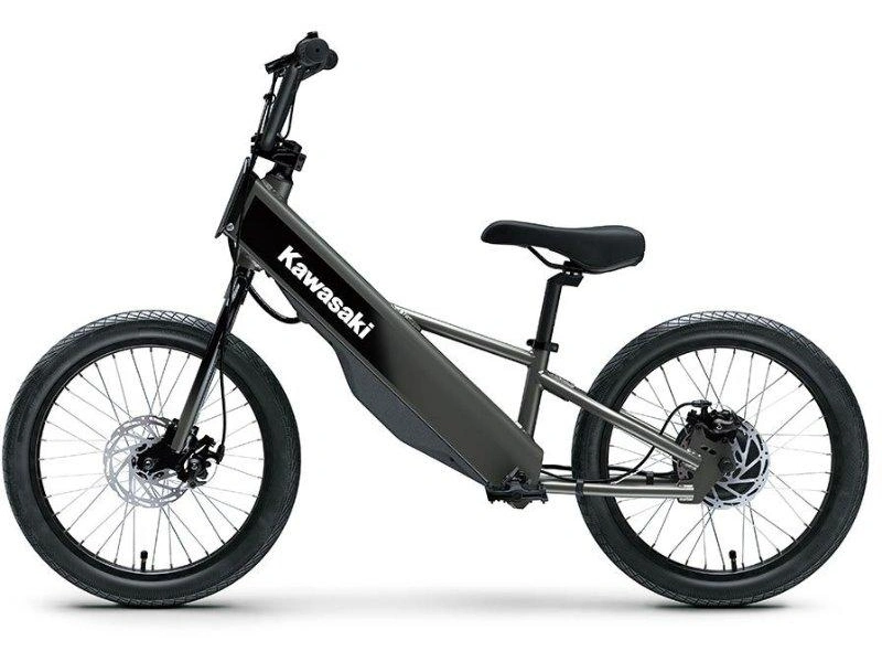 Kawasaki Elektrode 20fs 2027 alt
