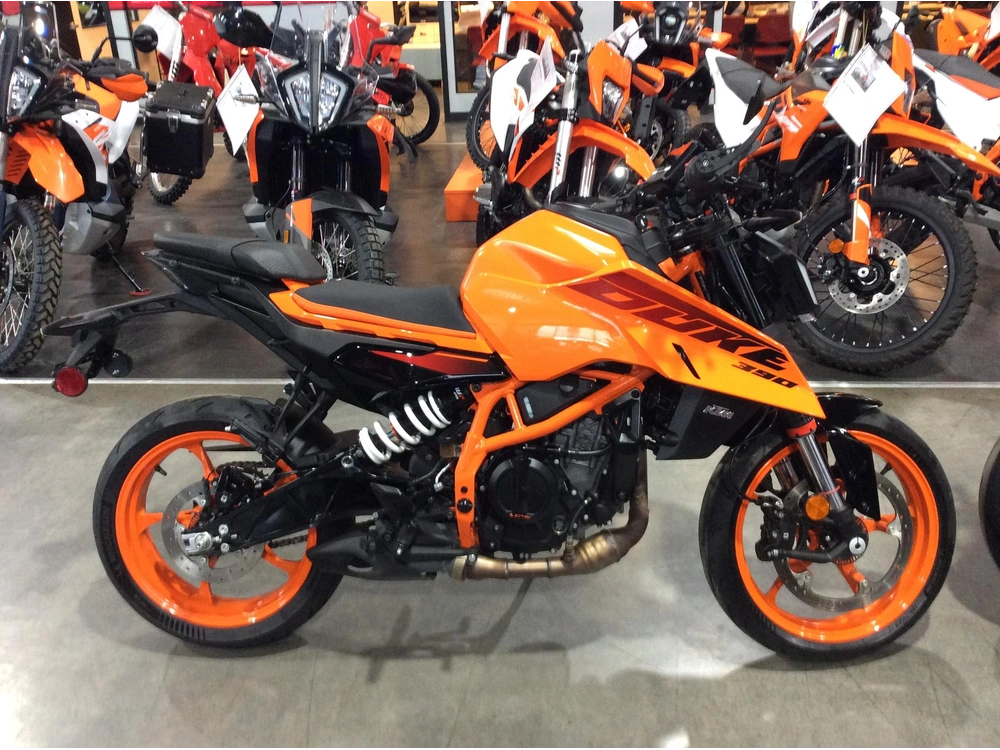 Ktm 390 Duke 2024 alt