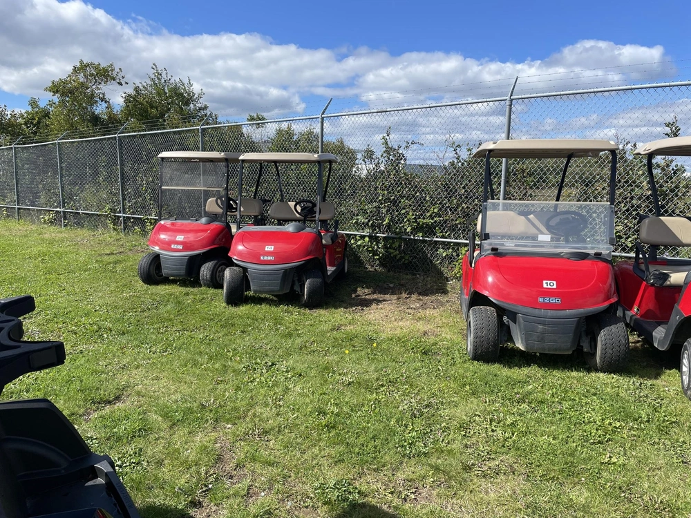 E-z-go Rxv 2019
