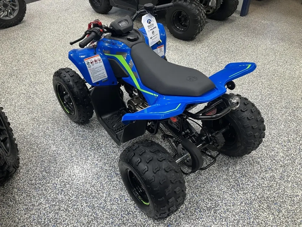 2026 Cfmoto Cforce 110 Classic
