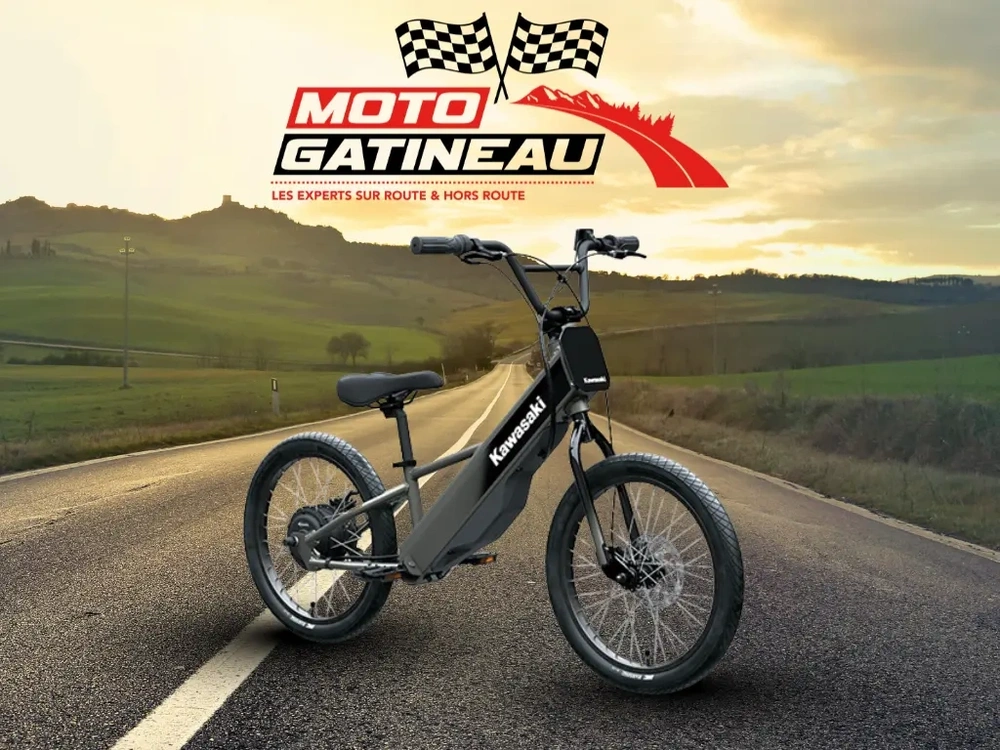 Kawasaki Elektrode 20 Fs 2025 alt