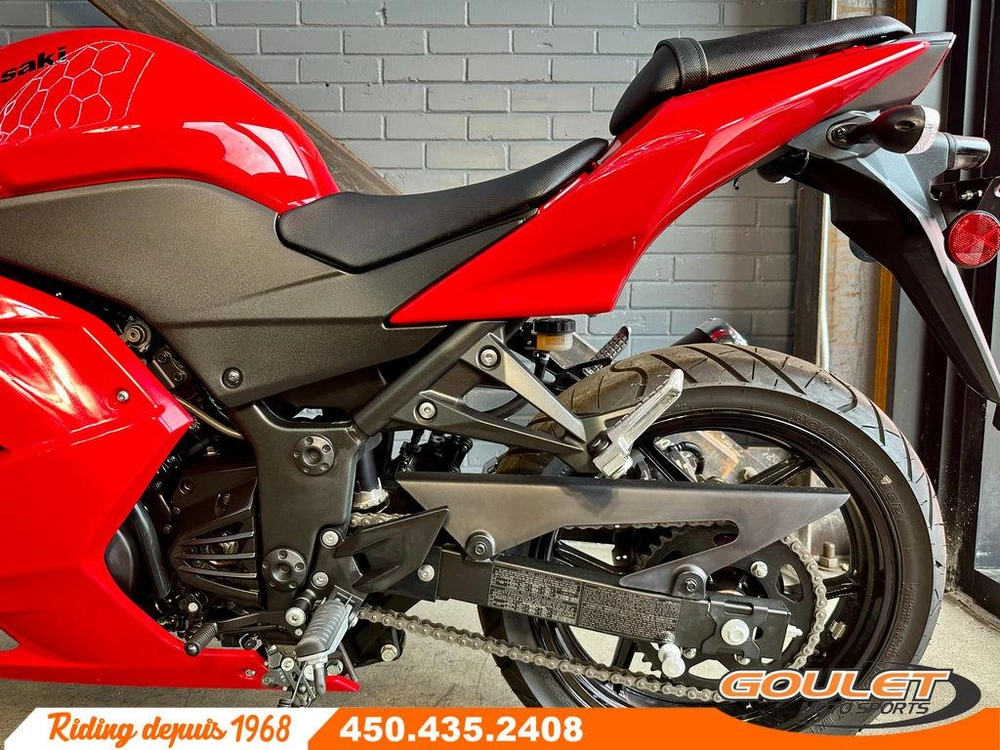 Kawasaki Ninja 250 2010 alt