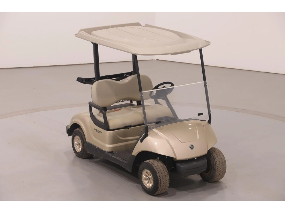 2009 Yamaha Premium Gas Golf Cart alt