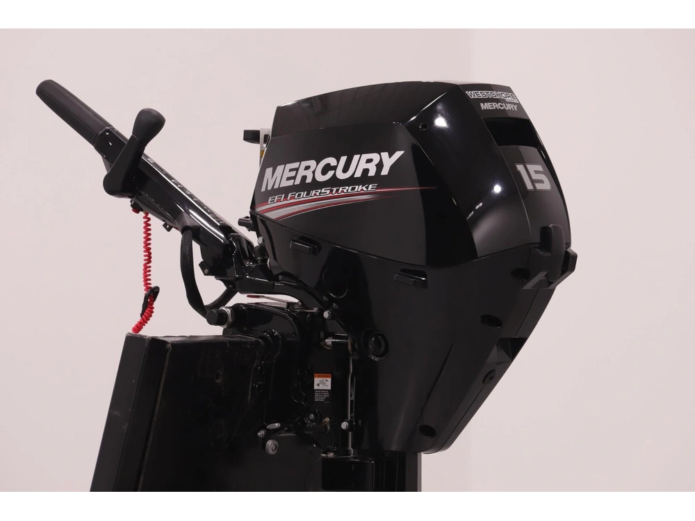 2020 Mercury 15hp Merc alt