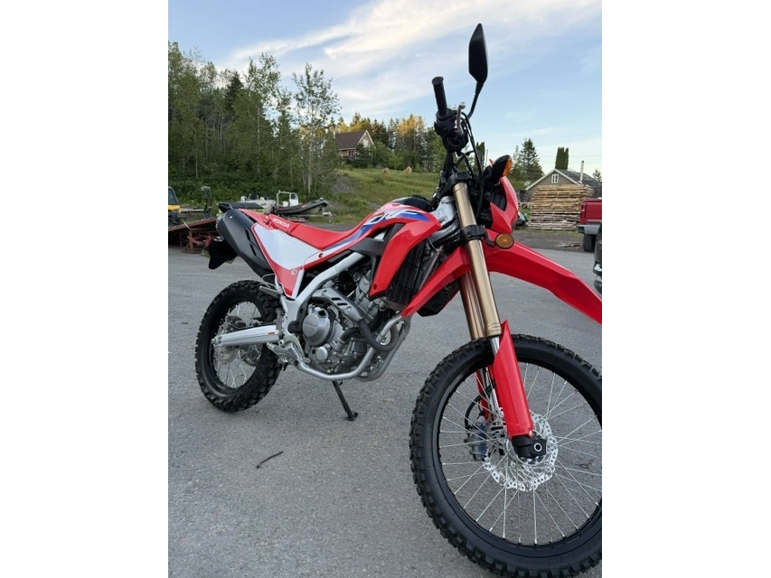 Honda Crf300 Abs Crf300lam 2021 alt