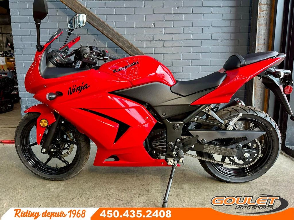 Kawasaki Ninja 250 2010 alt