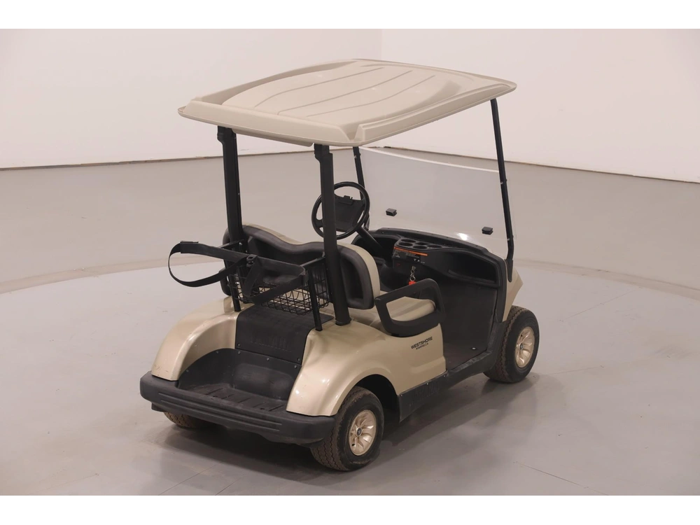 2009 Yamaha Premium Gas Golf Cart alt