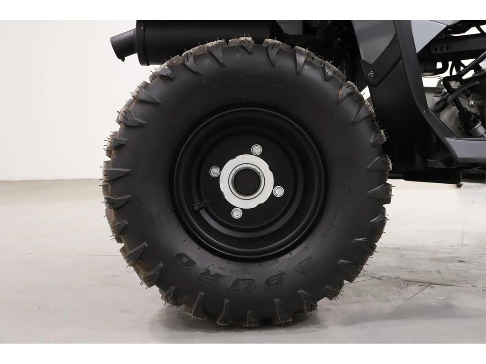 2026 Yamaha Grizzly 110 alt