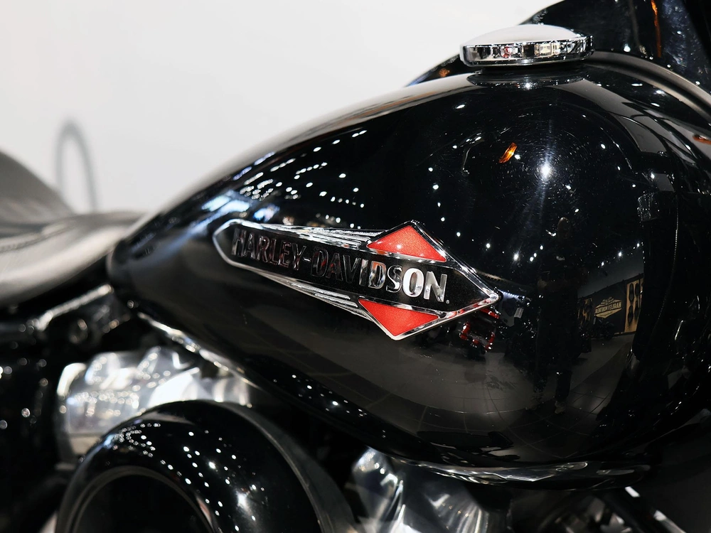 2019 Harley-davidson Softail Slim Flsl alt