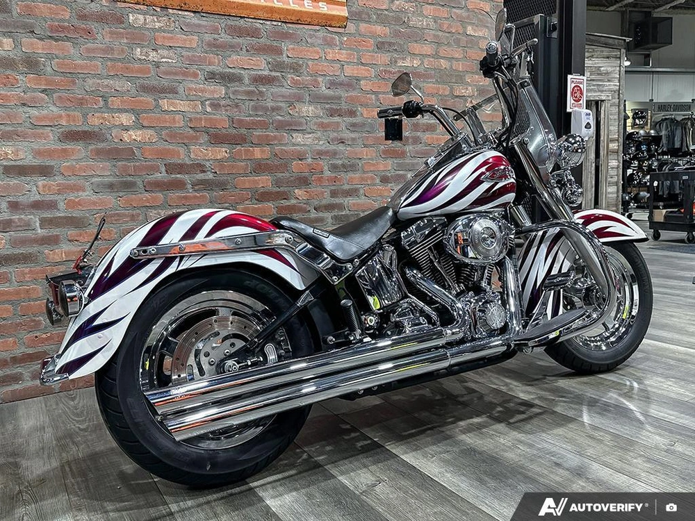 2004 Harley-davidson Flstci Heritage Classic alt