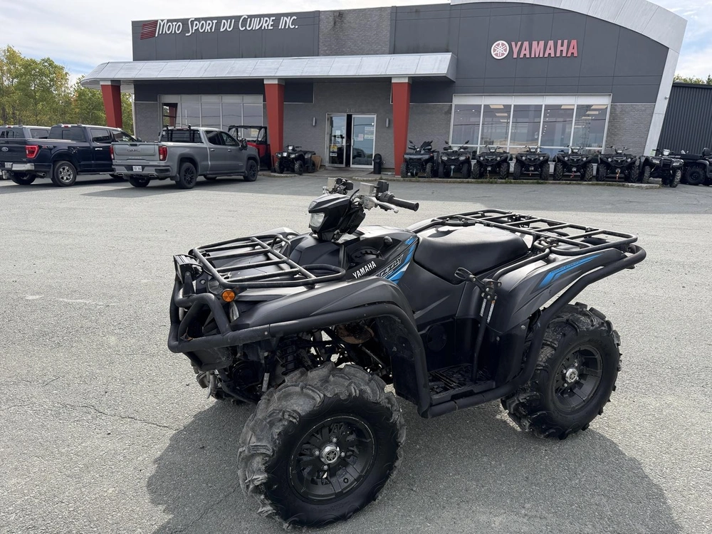 2018 Yamaha Yamaha Grizzly