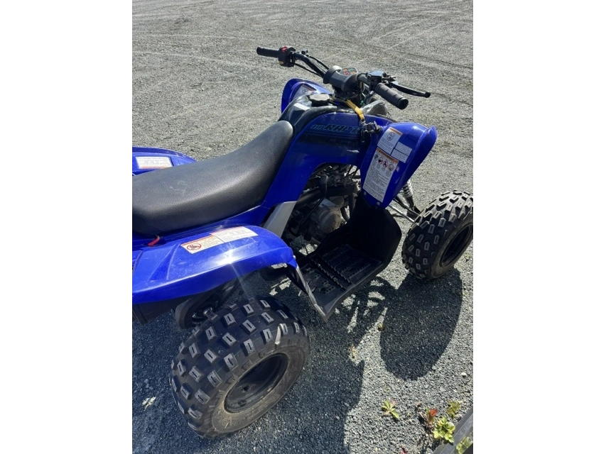 2024 Yamaha Raptor Yf1