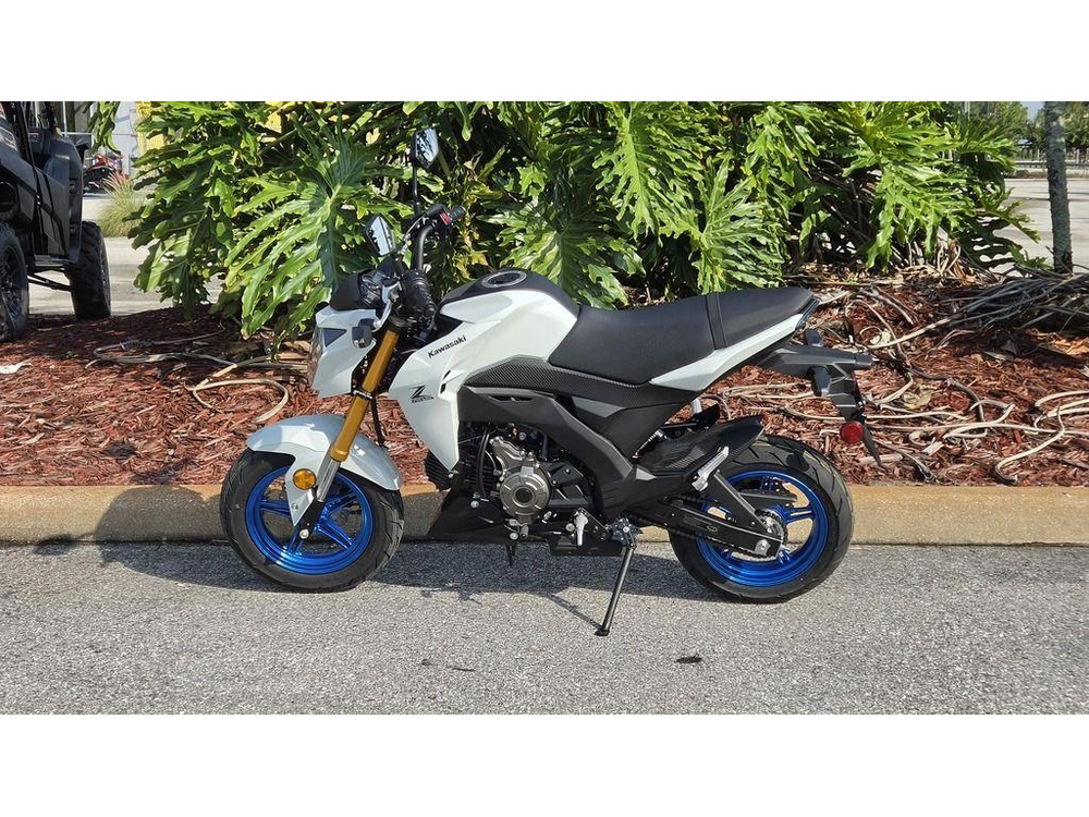 2026 Kawasaki Z125 Pro