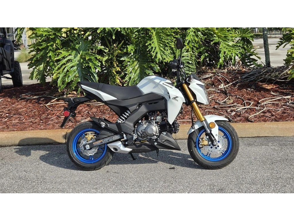 2026 Kawasaki Z125 Pro