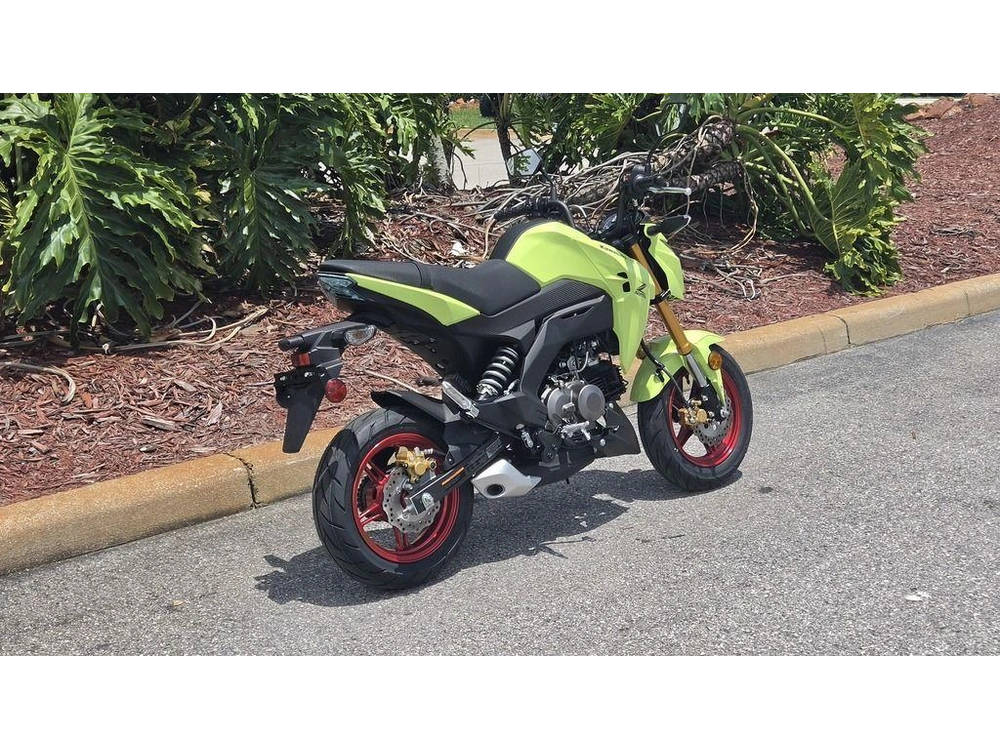 2026 Kawasaki Z125 Pro