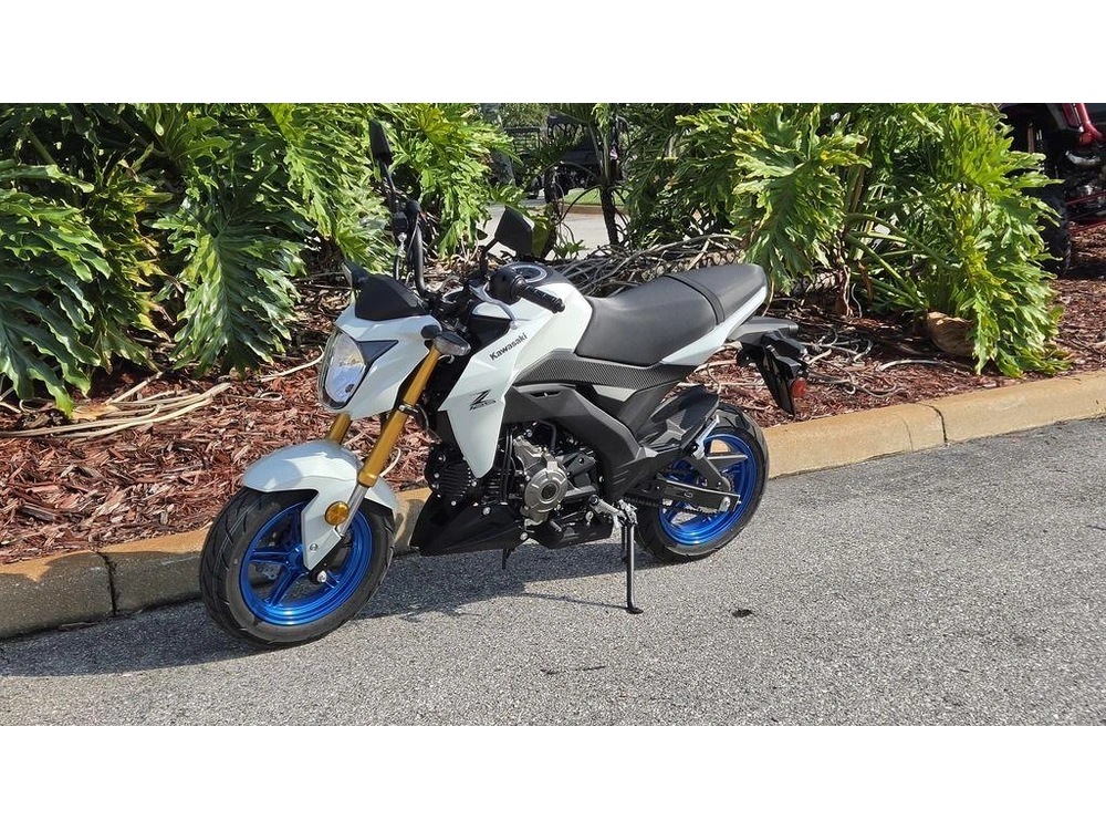 2026 Kawasaki Z125 Pro